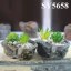 Stone shape cement office planter pot