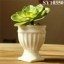 Plain white desk flower pot