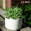 3.5 inches round mini ceramic flower pot