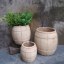 new products 2015 cement pots garden decoration wood cement pots