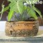 natural style small clay flower pot