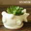 White mini fish shaped ceramic planter pot