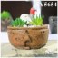 Lovely desktop flower planter cement pots