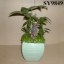 Decorative green office flower pot