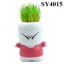 Lovely angry boy colorful growing grass head doll