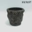 desert rose planter pot