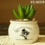 Popular product succulent mini ceramic pots