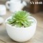 4.5 inches mini planter stock pot