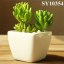 Ceramic mini square succulent pot