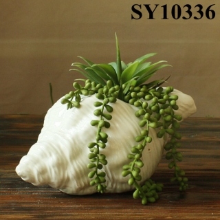 Unique ceramic conch shaped planter