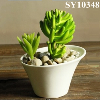 New product for sale succulent oval small pot