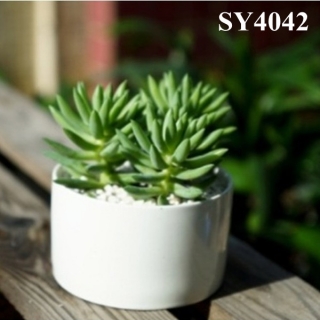 3.5 inches round mini ceramic flower pot