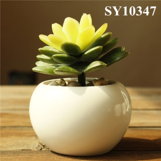 Plain white porcelain planter pots