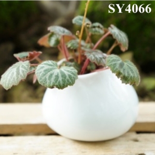 Hot pot for sale ceramic white small pot