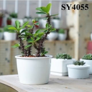 5.5 inches ceramic mini grow pots