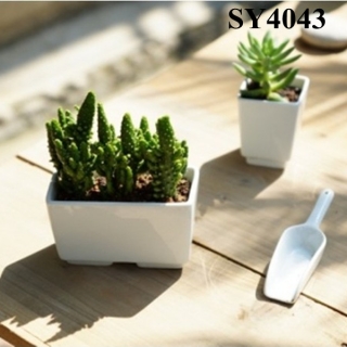 5 inches white cactus mini pot