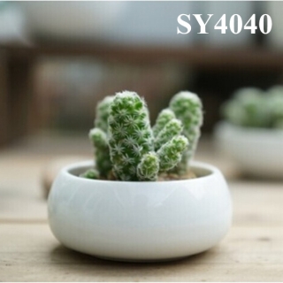 3 inches round mini plant pots