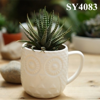 Lovely decorative mini succulent pots