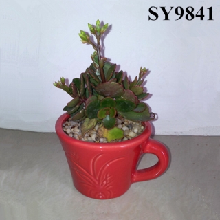 Red glazed porcelain cactus pots