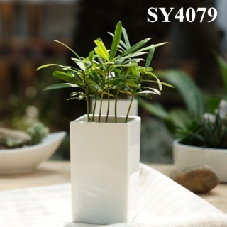 indoor decorative small plant pot