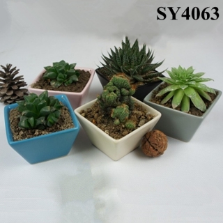 colorful square small decorative flower pots