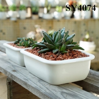 Plant pot for sale white small ceramic garden pot