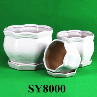 Small white indoor ceramic plant pot